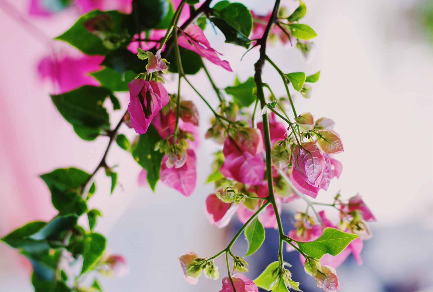 Zelfs een groot bedrijf als Steinhof komt in aanmerking voor een WHOA traject